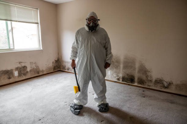 Best Fast Mold Removal  in Livingston, AL